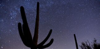 The Mystery of the Geographer's Adventures