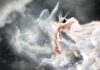 Preparing Your Business for a Seamless Commercial Move* The secret of the soul
