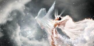 Preparing Your Business for a Seamless Commercial Move* The secret of the soul