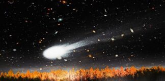 Tunguska meteorite