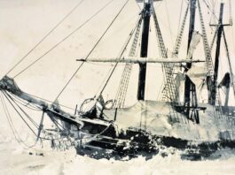 Fearless Polar Explorer