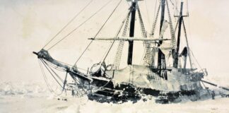 Fearless Polar Explorer