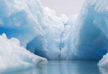 Frederick Cook at the North Pole North Pole