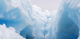 North Pole