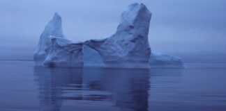 The Icy Gaze of Death