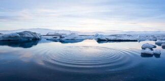 polar ice