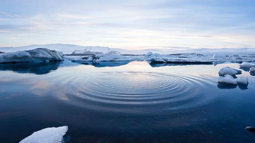 polar ice polar ice