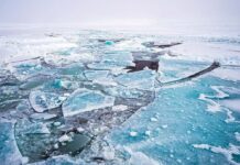Amundsen’s main enemy polar ice