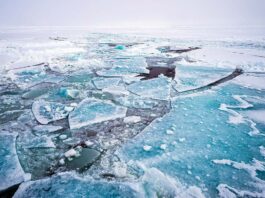 polar ice