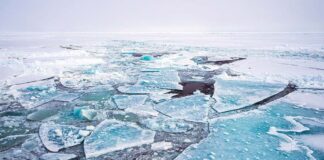polar ice