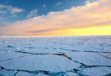 The dream of polar ice polar ice