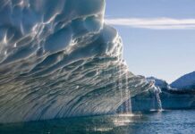 The Tragedy of Robert Scott polar ice