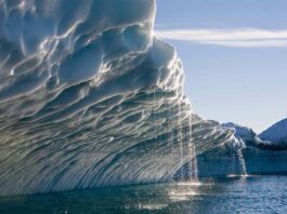 polar ice