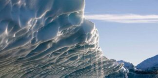 polar ice