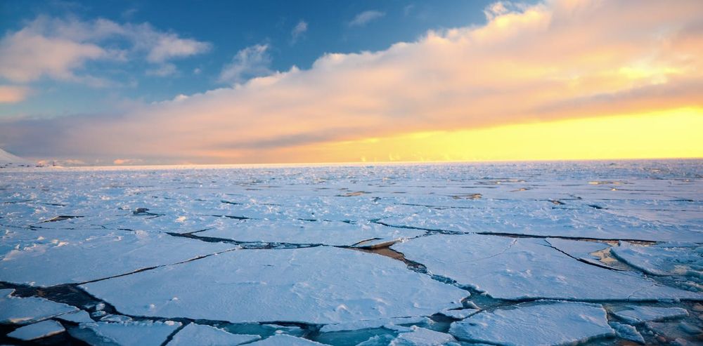 polar ice polar ice