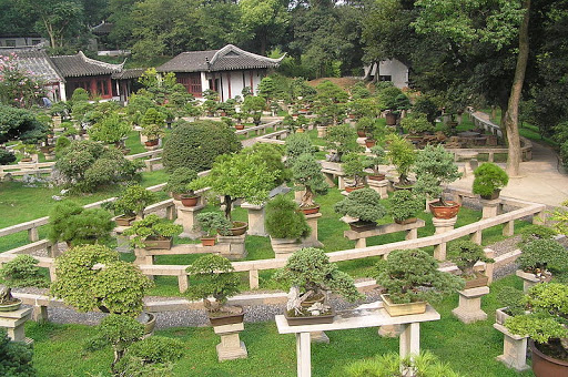 Suzhou Chinese Gardens