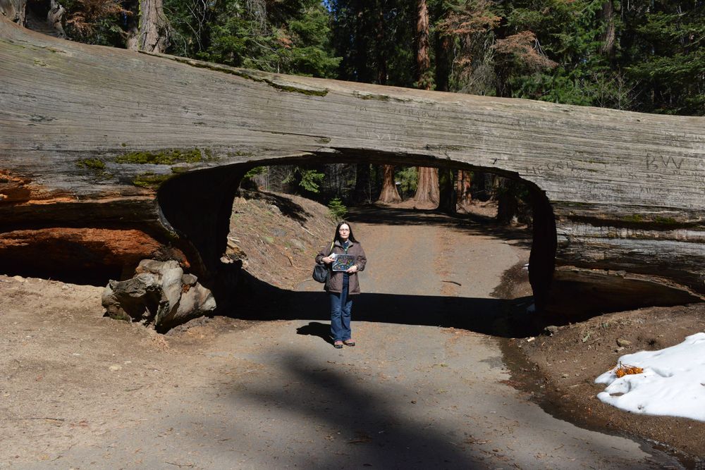 Sequoia National Park