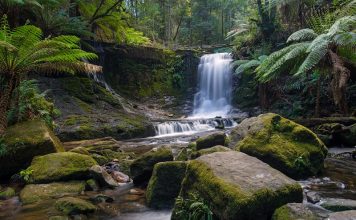 Mount Field National Park