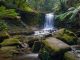 Mount Field National Park