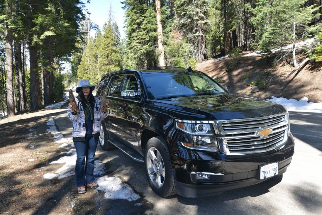 Sequoia National Park