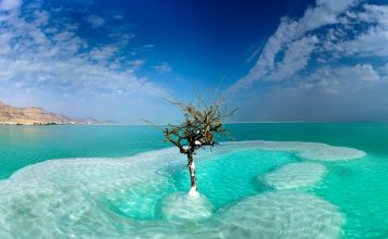 Dead Sea