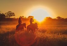 Enjoying Africa with Horse Riding