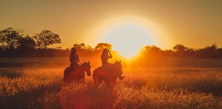 Enjoying Africa with Horse Riding