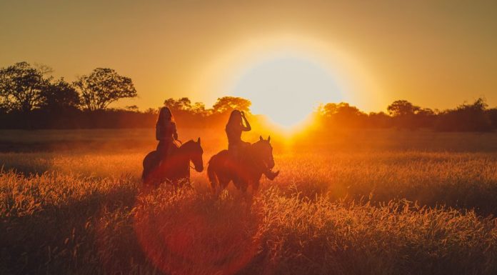 Enjoying Africa with Horse Riding