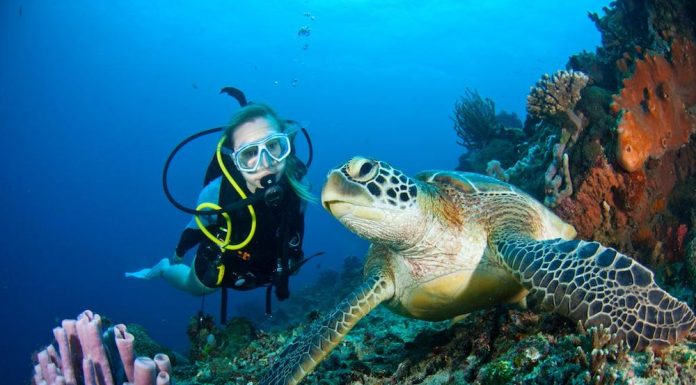 Diving