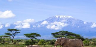 Kilimanjaro National Park