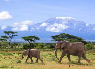 Kilimanjaro National Park Kilimanjaro National Park