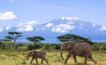 Kilimanjaro National Park