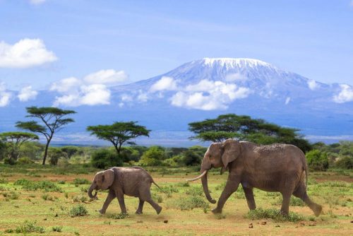 Kilimanjaro National Park • The most interesting places, exciting ...