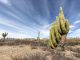 Los Cardones National Park