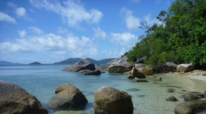 Bedarra Island Bedarra Island