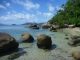Bedarra Island