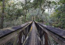 By Kathleen Carr, Florida State Parks Florida State Parks