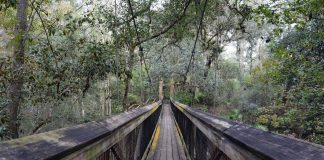 Florida State Parks