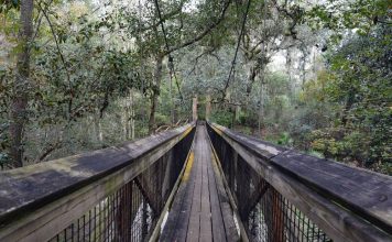 Florida State Parks