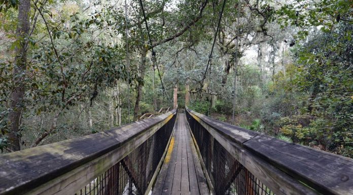 Florida State Parks