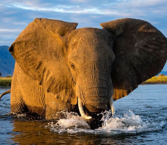 LAKE KARIBA