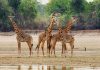 Nsumbu National Park