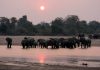 South Luangwa