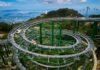Summer Alpine Coaster: An Exciting Mountain Adventure Without Snow