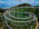 Summer Alpine Coaster: An Exciting Mountain Adventure Without Snow