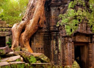 The Ultimate Solo Traveler’s Guide to Navigating Southeast Asia