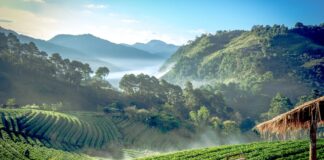 The Rise of Digital Nomad Hotspots: Best Cities for Remote Work and Travel