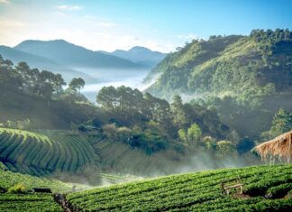 The Rise of Digital Nomad Hotspots: Best Cities for Remote Work and Travel