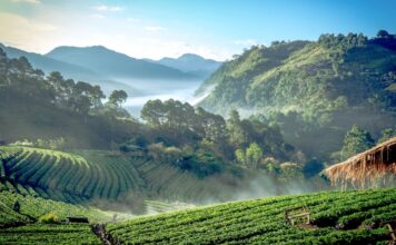 The Rise of Digital Nomad Hotspots: Best Cities for Remote Work and Travel