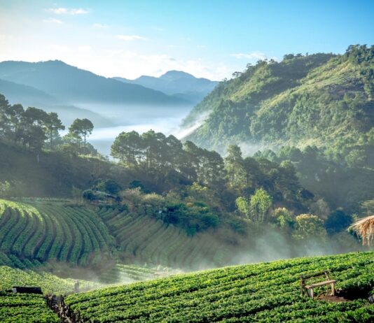 The Rise of Digital Nomad Hotspots: Best Cities for Remote Work and Travel